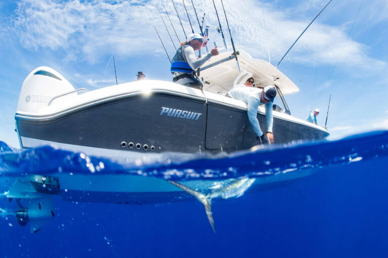 Out fishing on a Pursuit