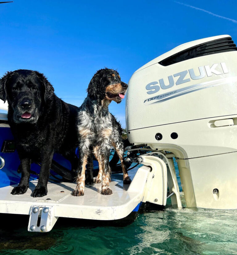 Pets love a Suzuki powered boat.