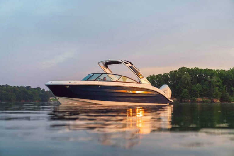 Sea Ray SDX 250 Outboard