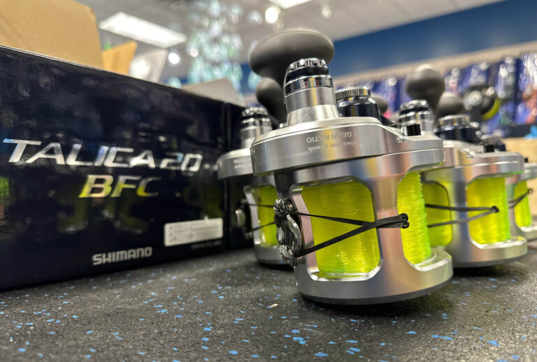 Fish Northeast Reels 2 768x518