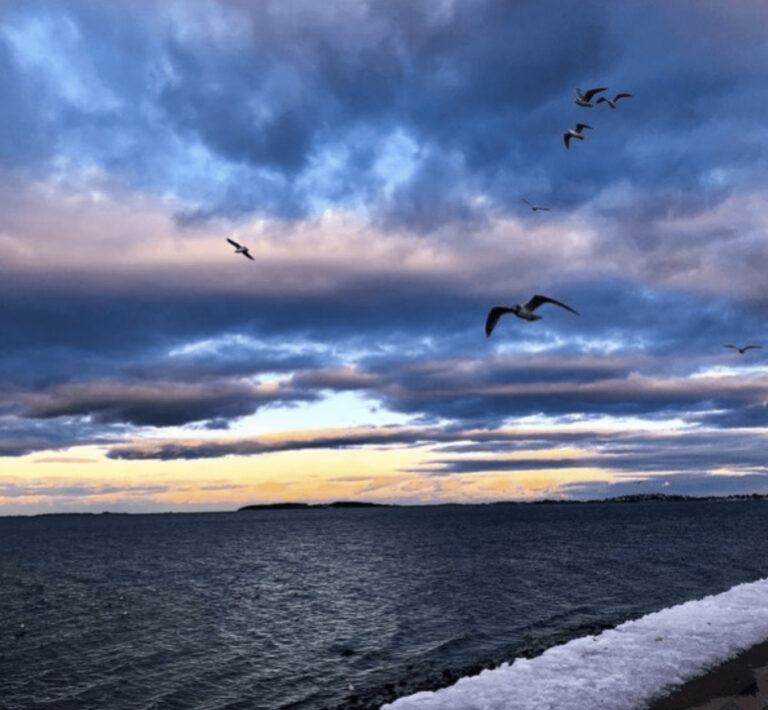 Picture Perfect from Wollaston Beach in Quincy, MA