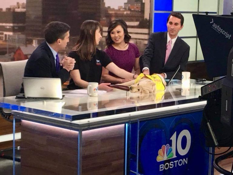 464473436 2876928529148246 2753158636400012823 n 768x576