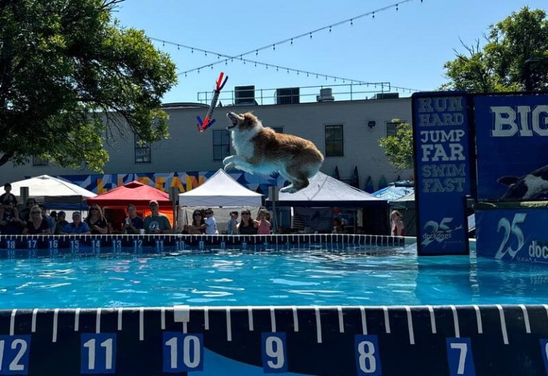 Attend one of our many events.