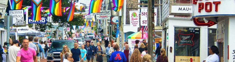 cool shops topper 4 768x202