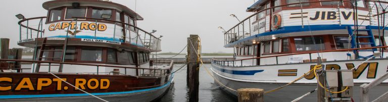 boat rentals and charters topper 3 768x202